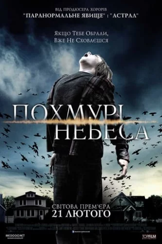 Похмурі небеса (2013)
