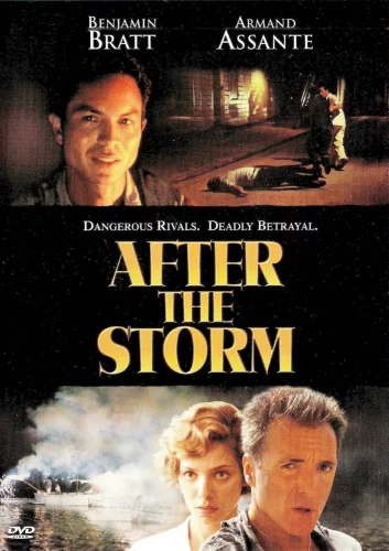 Після шторму (2001)