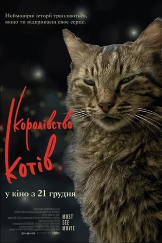 Королівство котів (2016)
