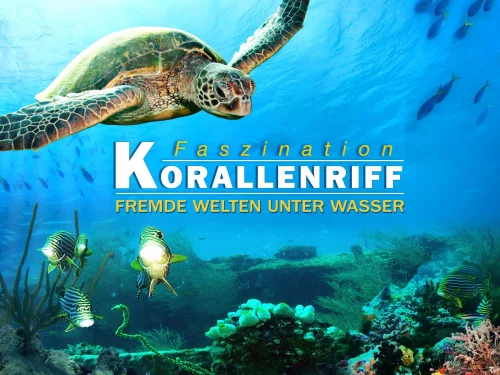 Кораловий риф: дивовижні підводні світи (2012)