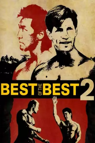Найкращі з найкращих 2 (1993)